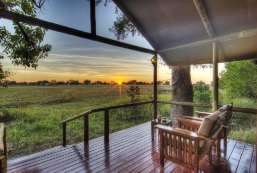 Our Treetop canopy tour experience on the Garden Route