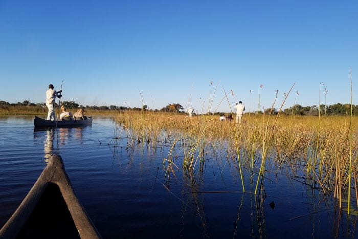 Cedarberg Travel | Okavango Delta Safari