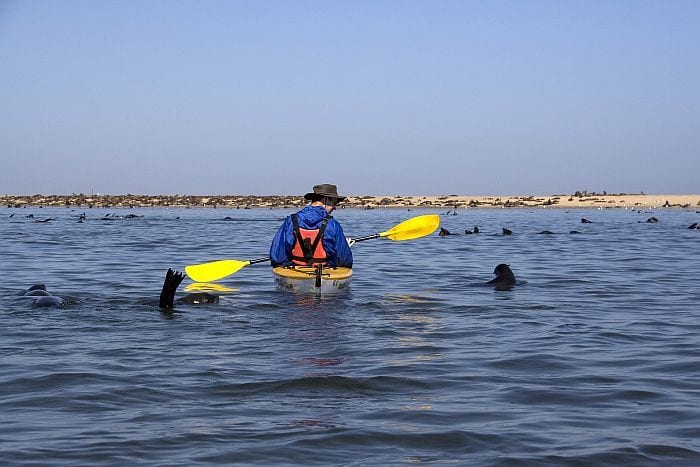 kayak tour swakopmund