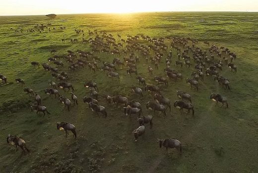 Serengeti National Park