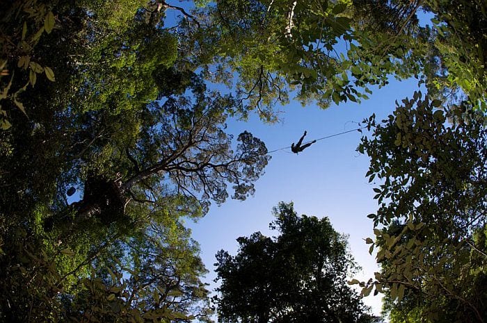 Tsitsikamma Canopy tour, Garden Route