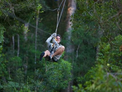 Tsitsikamma treetop canopy tour closeup