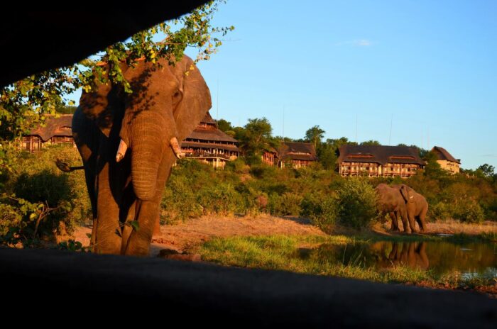 Cedarberg Travel | Victoria Falls Safari Lodge