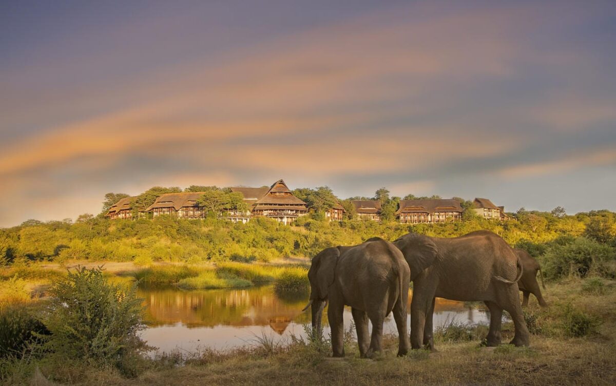 Victoria Falls Safari Lodge elephants by waterhole