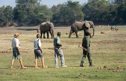 Victoria Falls vs Livingstone? Choosing between the Zambia or Zimbabwe sides