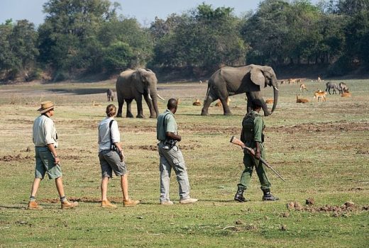 10 Reasons to visit Botswana, one of Africa’s great safari destinations