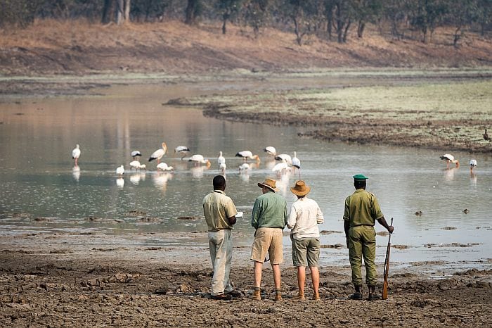 ZSAF-Luangwa-RPS-walking-safari-waterhole