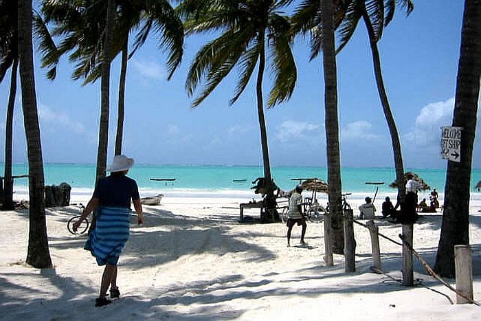 Baraza beach palms