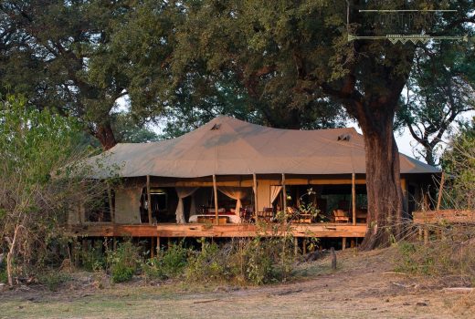 Zarafa Camp