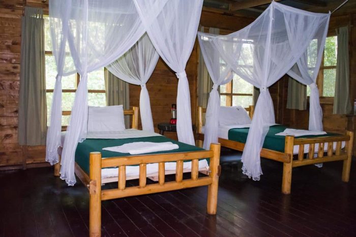Cedarberg Travel | Budongo Eco Lodge