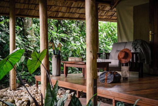 Sanctuary Gorilla Forest Camp