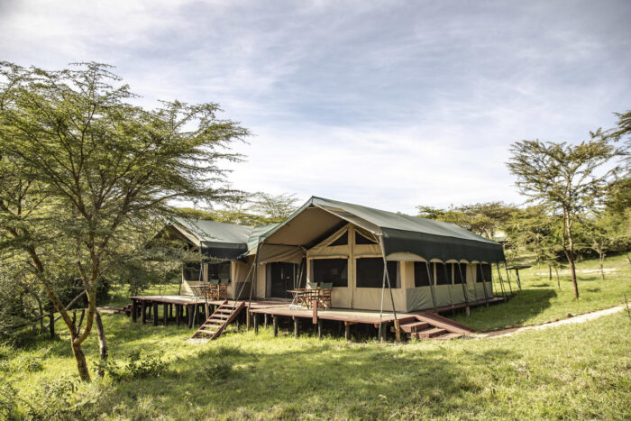 Cedarberg Travel | Porini Mara Camp
