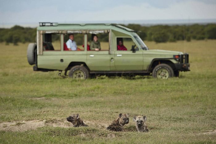 Cedarberg Travel | Kenya Family Safari Tour