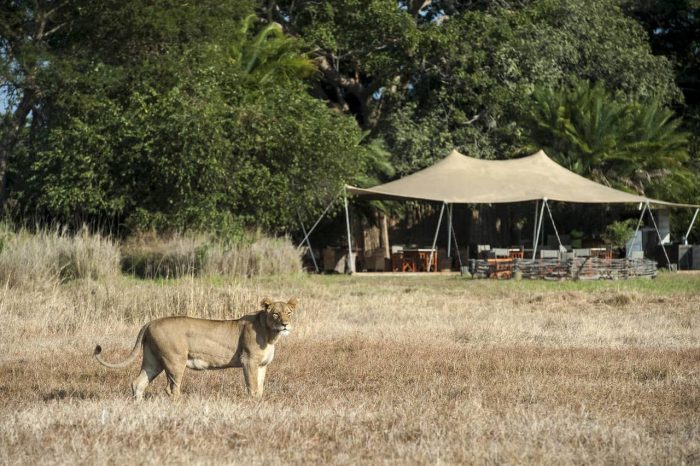 Cedarberg Travel | Busanga Bush Camp