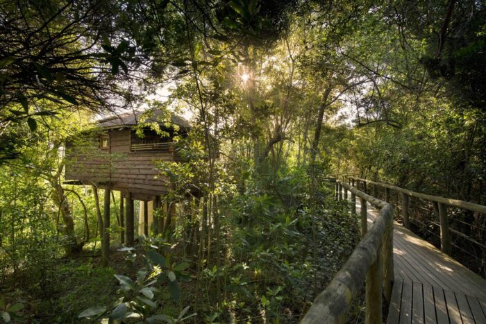 Cedarberg Travel | Tsala Treetop Lodge