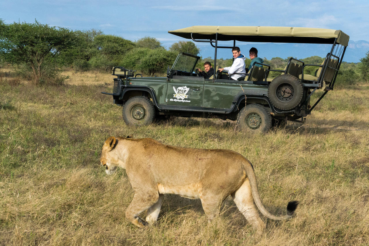 safari camp jabulani africa