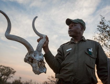 What is Load Shedding & How will it affect my safari?