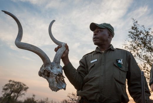 What to wear on safari in South Africa