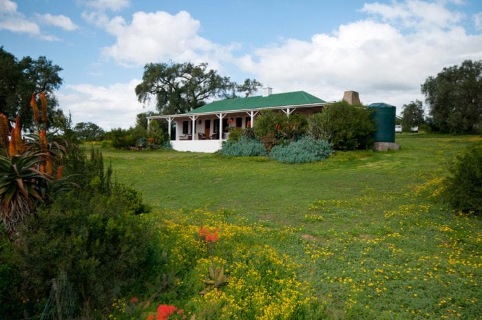 Cedarberg Travel | Amakhala Leeuwenbosch Country House