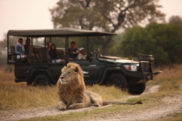 Cedarberg Travel | andBeyond Sandibe Okavango Safari Lodge