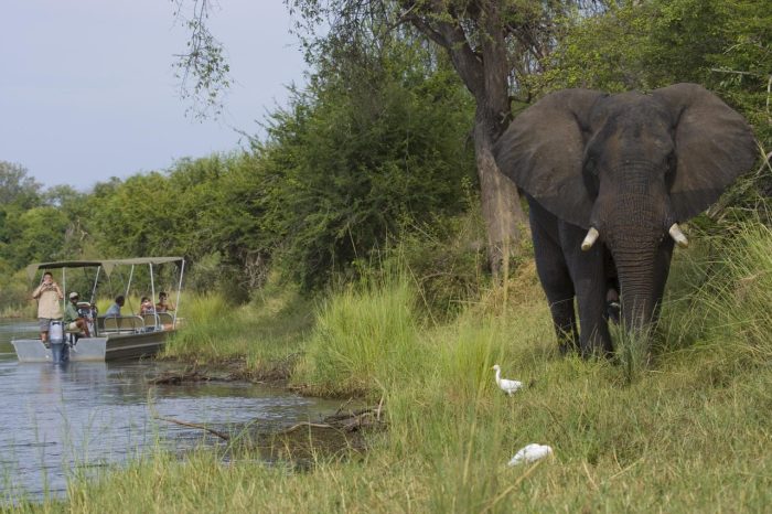 Cedarberg Travel | Zambia Family safari
