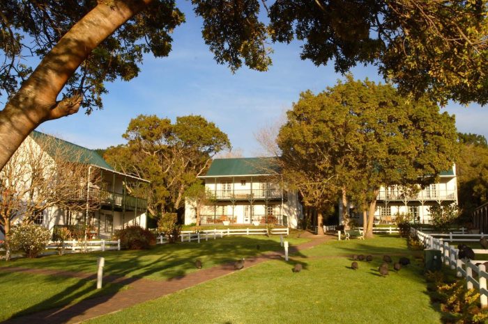 Cedarberg Travel | Belvidere Manor