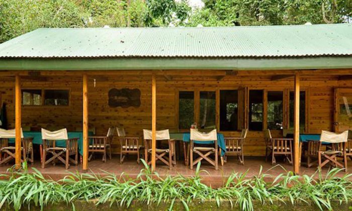 Cedarberg Travel | Budongo Eco Lodge