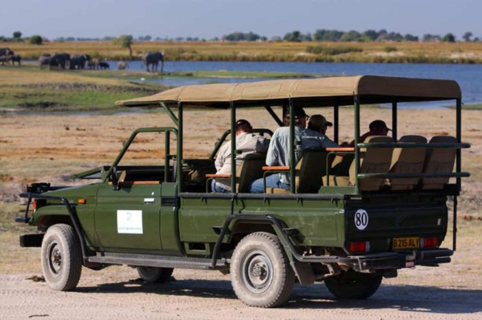 Cedarberg Travel | Elephant Valley Lodge