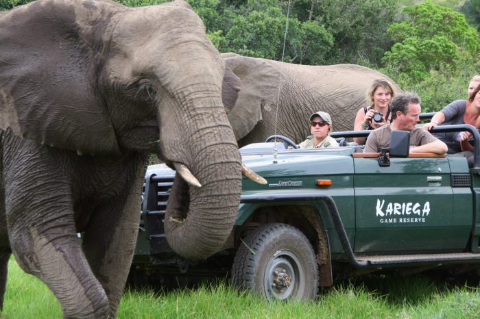 Cedarberg Travel | Kariega Ukhozi Lodge