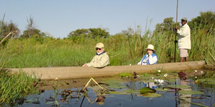 Cedarberg Travel | Essence of Botswana & Zambia Safari