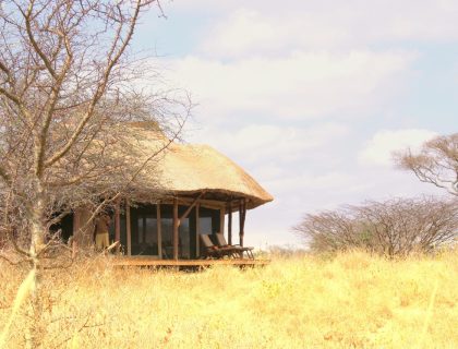 cedarberg-little-olivers-guest-tent-exterior-and-area-1