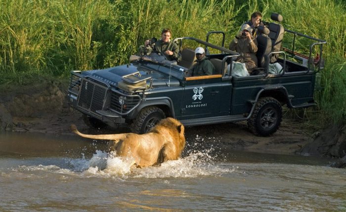 Cedarberg Travel | Londolozi Pioneer Camp