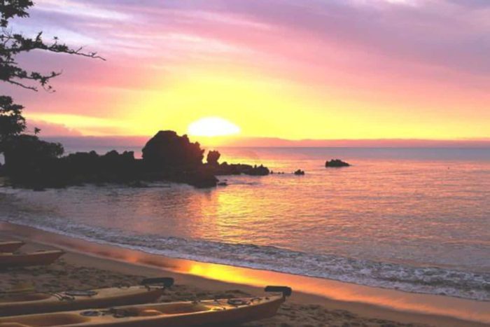 Cedarberg Travel | Masoala Rainforest & Anjajavy Reserve Safari