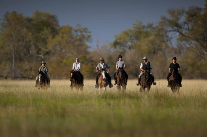 Cedarberg Travel | Motswiri Camp