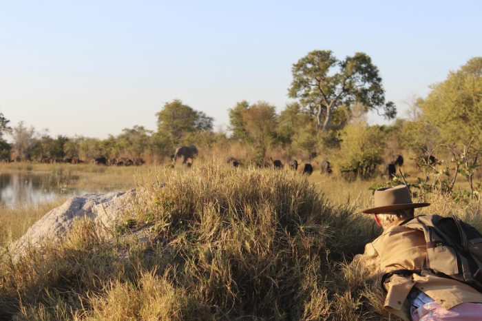 Cedarberg Travel | Motswiri Camp