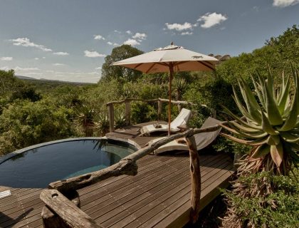 cedarberg-pumba-msenge-bush-lodge-plundge-pool-14