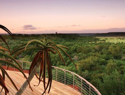 cedarberg-sarili-lodge-shamwari-game-reserve-sarili-lodge-at-shamwari-game-reserve-1
