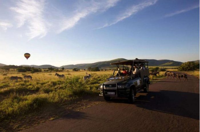 Cedarberg Travel | Shepherd's Tree Game Lodge