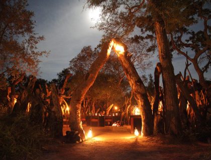 cedarberg-tintswalo-safari-lodge-boma-dinners-under-the-african-sky-18