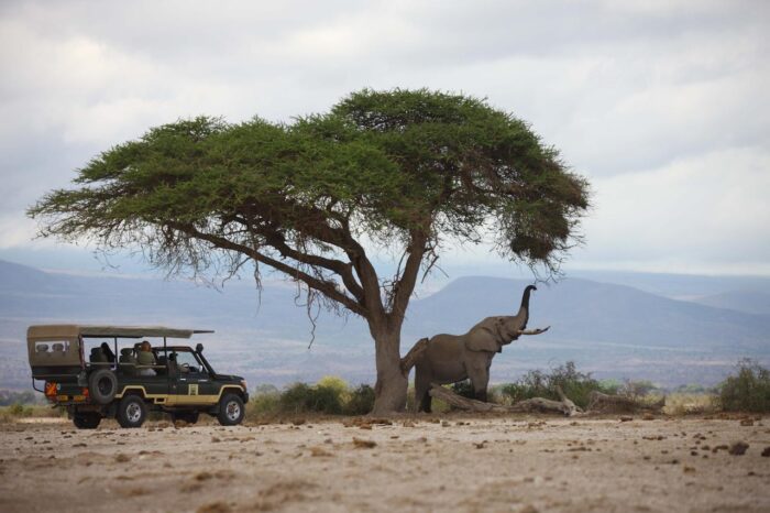 Cedarberg Travel | Kenyan Exploration Fly-in Safari