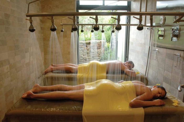 Cedarberg Travel | Vineyard Hotel & Spa