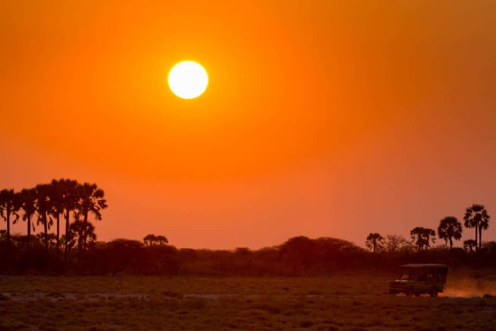 Cedarberg Travel | Onguma Bush Camp