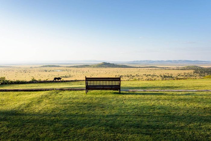 Cedarberg Travel | Singita Sasakwa Lodge