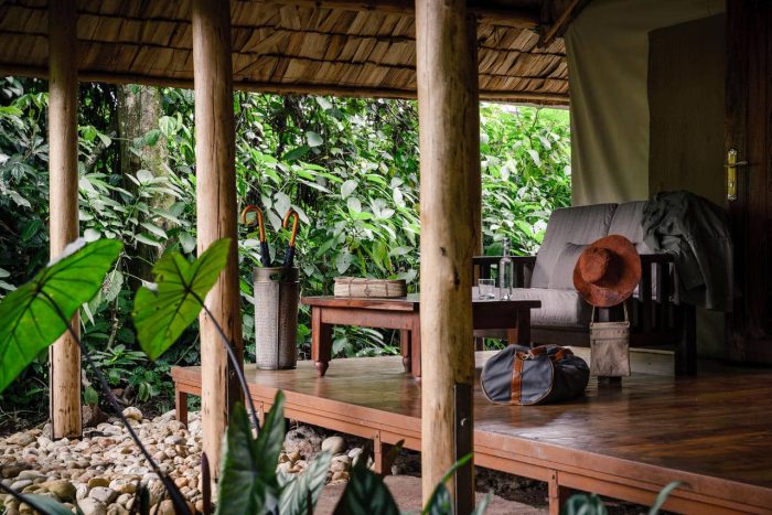Cedarberg Travel | Sanctuary Gorilla Forest Camp