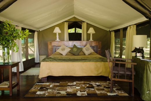 Little Governors’ Camp