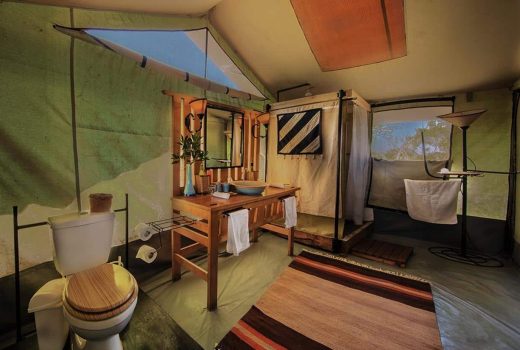 Porini Lion Camp