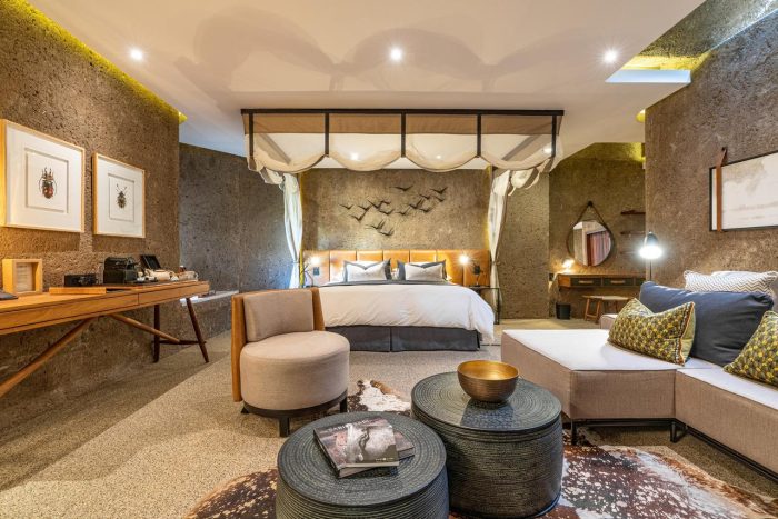 Cedarberg Travel | Sabi Sabi Earth Lodge
