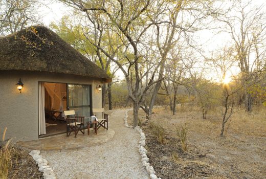 Onguma Forest Camp