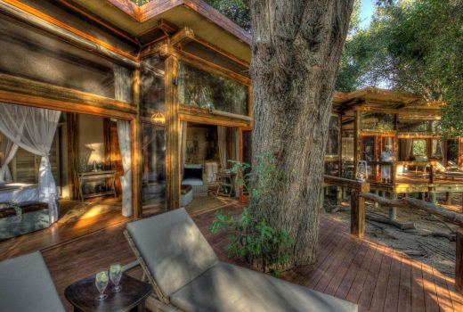 Camp Okavango