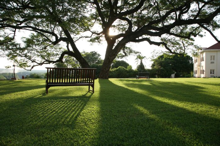 Cedarberg Travel | Victoria Falls Hotel